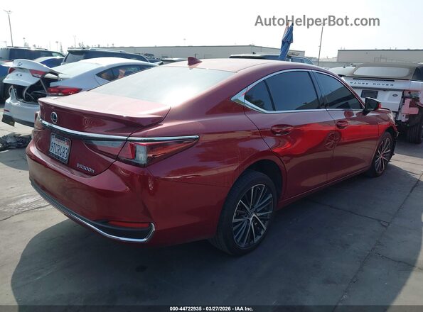58ADA1C14SU065068 2025 LEXUS ES 300H Красный Задняя правая четверть
