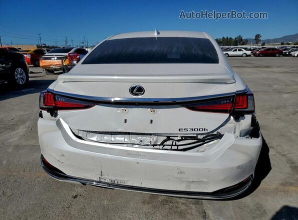 58ADA1C17RU052275 2024 LEXUS ES White Հետևի տեսք