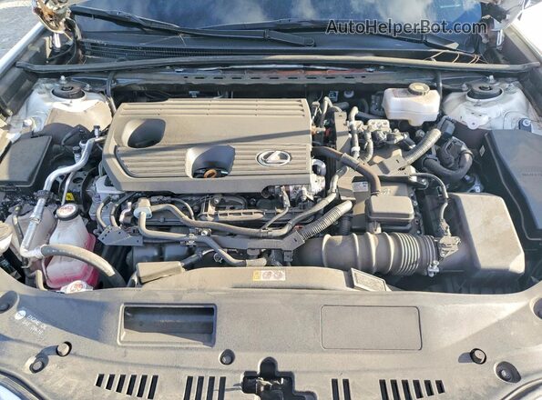 58ADA1C19RU038541 2024 LEXUS ES White Սալոնի հետևի տեսք