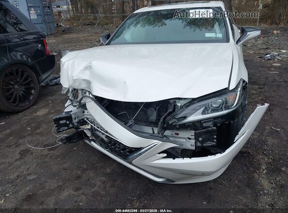 58ADZ1B12RU180899 2024 LEXUS ES 350 Белый Вид спереди