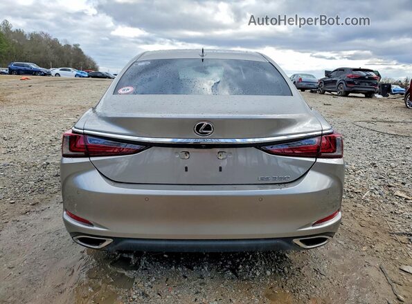 58ADZ1B19LU067877 2020 LEXUS ES Gray უკანა ხედი