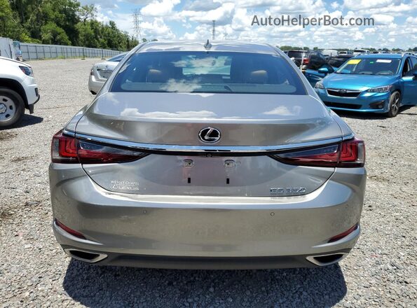 58ADZ1B19MU085491 2021 LEXUS ES Gray Հետևի տեսք