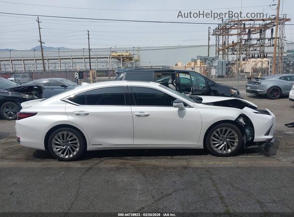 58AEA1C18MU004720 2021 LEXUS ES 300H White Вид задньої частини салону