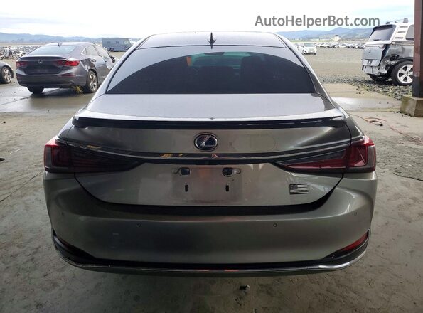 58AEA1C18MU009318 2021 LEXUS ES Gray Widok z tyłu