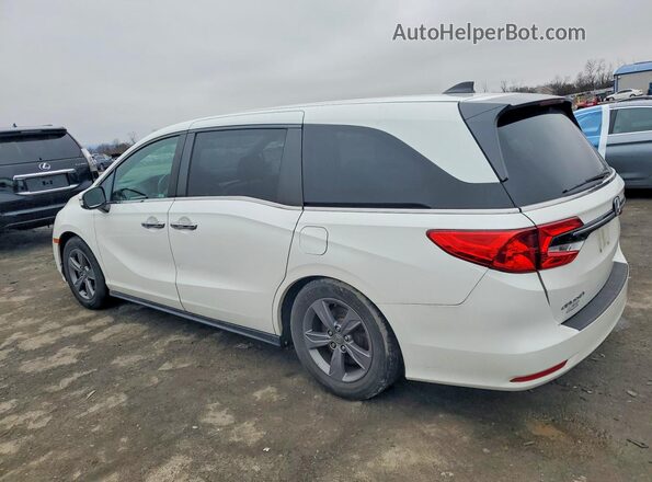 5FNRL6H51MB031136 2021 HONDA ODYSSEY White 