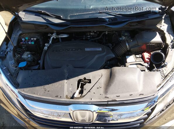 5FNRL6H53LB064203 2020 HONDA ODYSSEY Gray Rear view