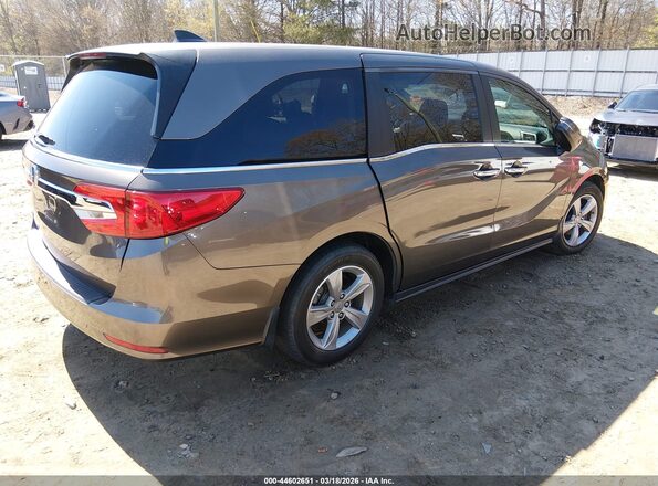 5FNRL6H53LB064203 2020 HONDA ODYSSEY Gray Rear right