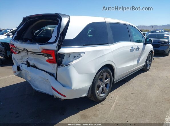 5FNRL6H57PB069037 2023 HONDA ODYSSEY White Tył prawy