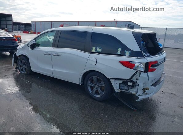 5FNRL6H59MB031496 2021 HONDA ODYSSEY White უკანა მარცხენა