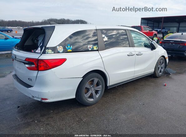 5FNRL6H59MB031496 2021 HONDA ODYSSEY White უკანა მარჯვენა