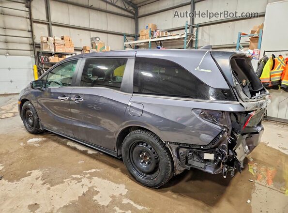 5FNRL6H64PB503326 2023 HONDA ODYSSEY Gray Rear left