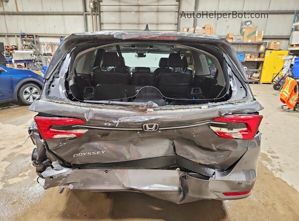 5FNRL6H64PB503326 2023 HONDA ODYSSEY Gray Rear view