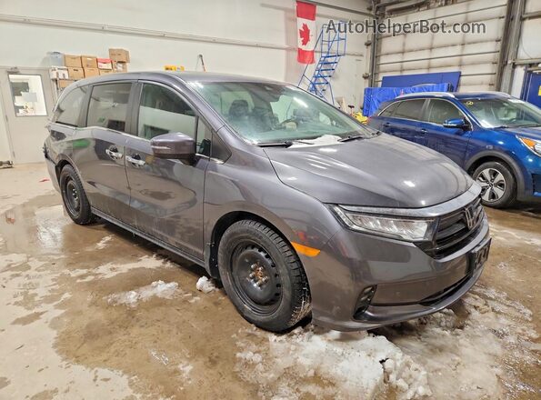 5FNRL6H64PB503326 2023 HONDA ODYSSEY Gray Front right