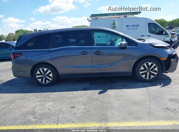 5FNRL6H64TB027282 2026 HONDA ODYSSEY Gray Սալոնի հետևի տեսք