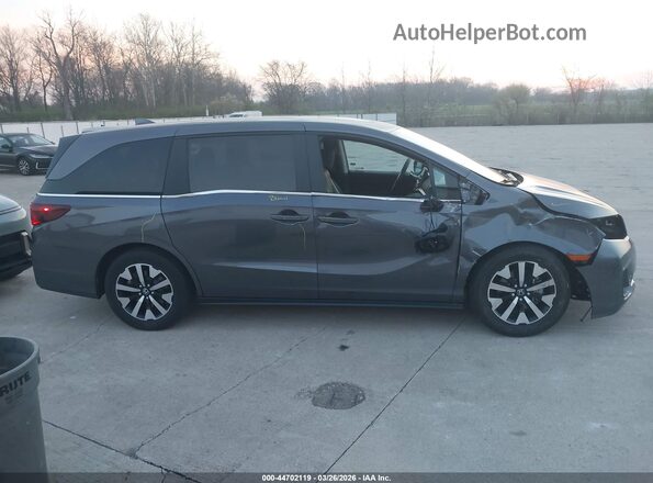 5FNRL6H65SB058538 2025 HONDA ODYSSEY Gray 