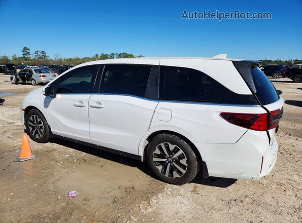5FNRL6H65TB007249 2026 HONDA ODYSSEY White Задня ліва чверть