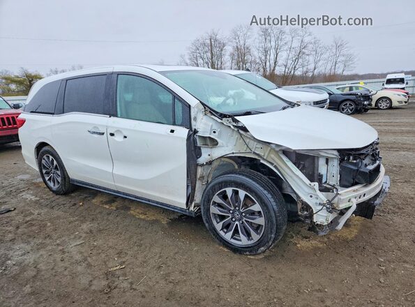 5FNRL6H70MB044588 2021 HONDA ODYSSEY White 