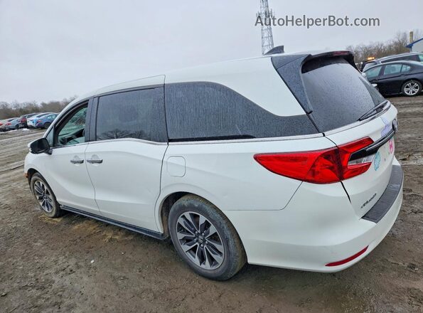 5FNRL6H70MB044588 2021 HONDA ODYSSEY White 