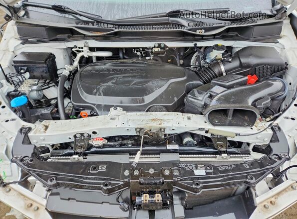 5FNRL6H70MB044588 2021 HONDA ODYSSEY White 