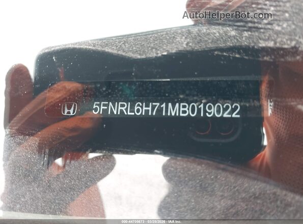 5FNRL6H71MB019022 2021 HONDA ODYSSEY Серебряный 