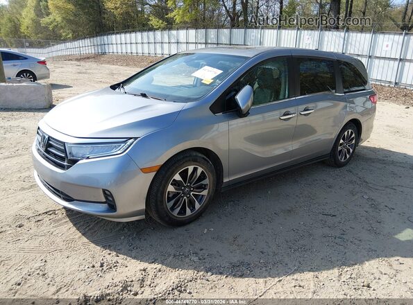 5FNRL6H71NB070019 2022 HONDA ODYSSEY Silver 