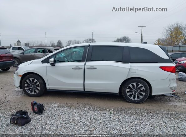 5FNRL6H72NB052760 2022 HONDA ODYSSEY White Սալոնի 360 աստիճան տեսք