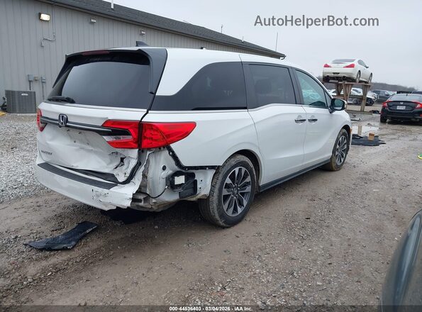 5FNRL6H72NB052760 2022 HONDA ODYSSEY White Հետևի աջ