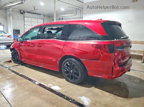 5FNRL6H72SB003456 2025 HONDA ODYSSEY Red 