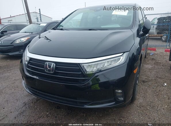 5FNRL6H73MB021385 2021 HONDA ODYSSEY Black Widok z przodu