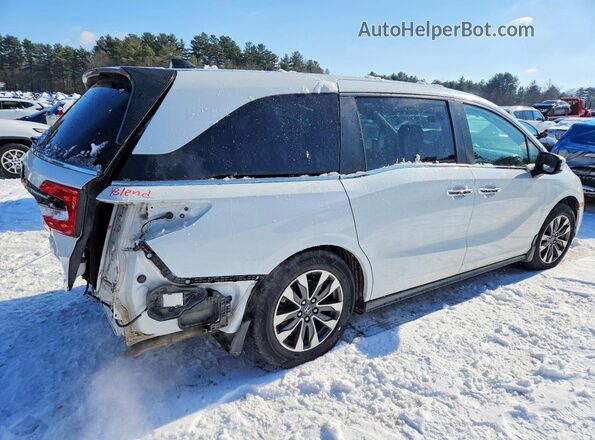 5FNRL6H73MB032712 2021 HONDA ODYSSEY White Tył prawy