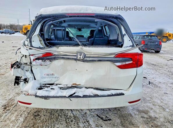 5FNRL6H77MB020692 2021 HONDA ODYSSEY White Rear view