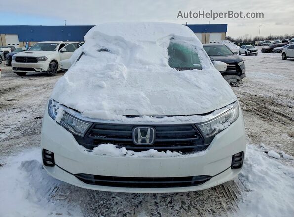 5FNRL6H77MB020692 2021 HONDA ODYSSEY White Front view