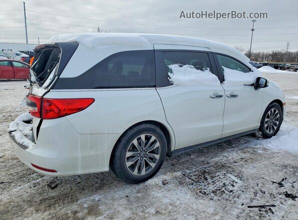 5FNRL6H77MB020692 2021 HONDA ODYSSEY White Rear right