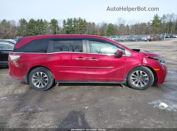 5FNRL6H78NB034330 2022 HONDA ODYSSEY Red Widok wnętrza 360 stopni