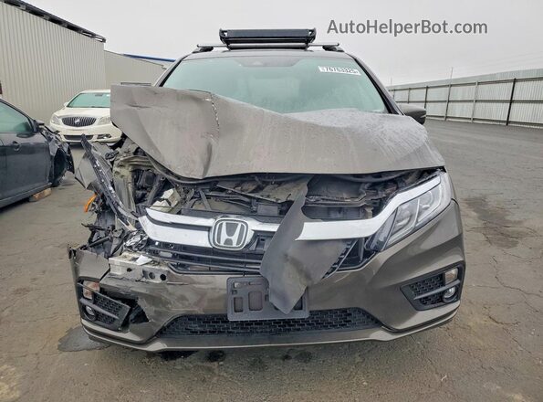5FNRL6H79KB022344 2019 HONDA ODYSSEY Коричневый 