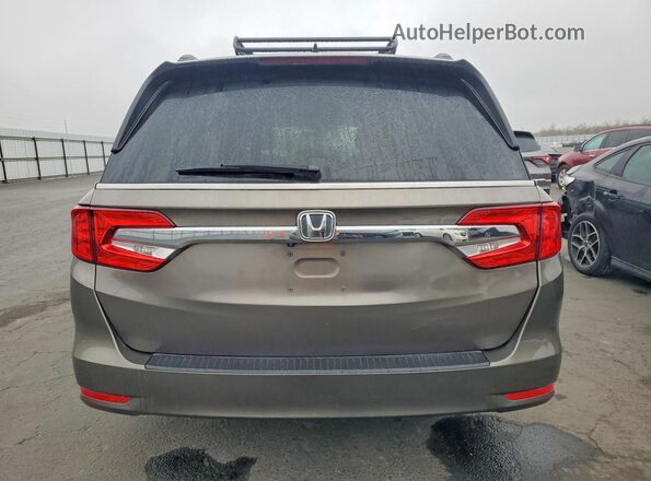 5FNRL6H79KB022344 2019 HONDA ODYSSEY Коричневый 