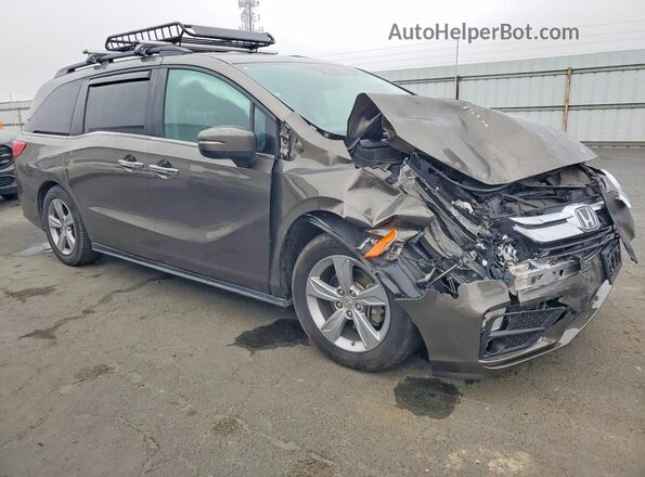5FNRL6H79KB022344 2019 HONDA ODYSSEY Коричневый 