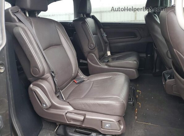 5FNRL6H79KB022344 2019 HONDA ODYSSEY Коричневый 