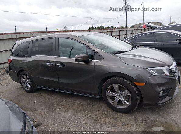 5FNRL6H79LB027576 2020 HONDA ODYSSEY Gray Вид задньої частини салону