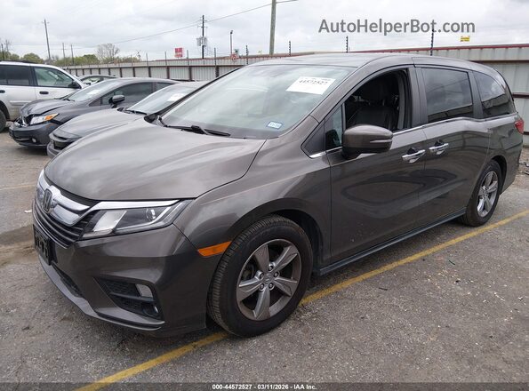 5FNRL6H79LB027576 2020 HONDA ODYSSEY Gray Передня ліва чверть