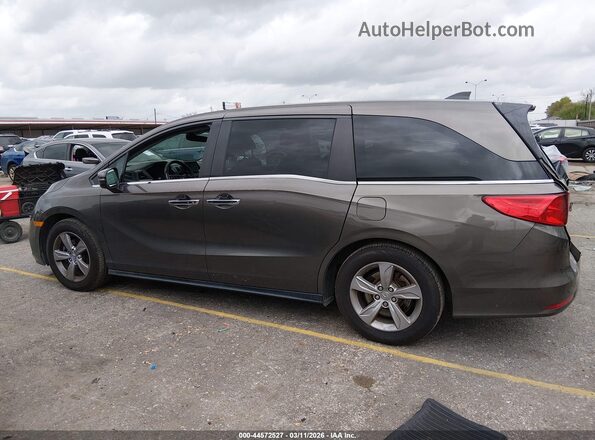 5FNRL6H79LB027576 2020 HONDA ODYSSEY Gray Панорамний вид салону 360°