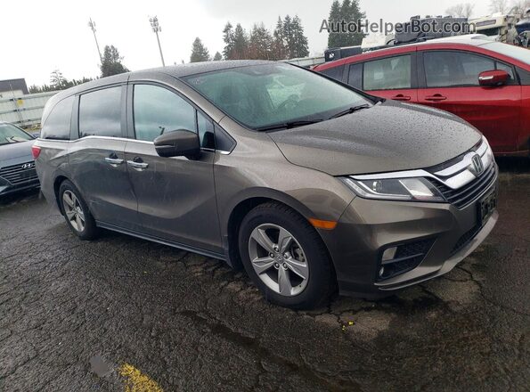 5FNRL6H79LB067303 2020 HONDA ODYSSEY Gray 