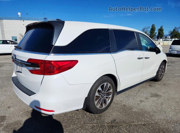 5FNRL6H7XMB007967 2021 HONDA ODYSSEY White Trasero derecho