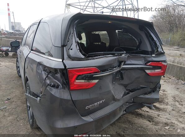 5FNRL6H84RB028992 2024 HONDA ODYSSEY Gray Front view