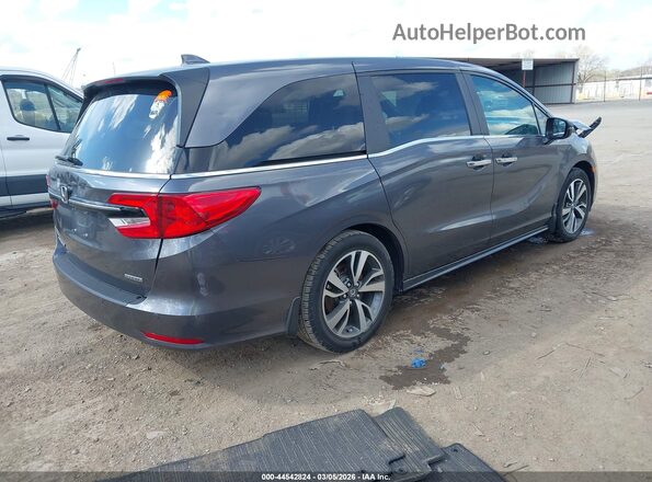 5FNRL6H84RB037305 2024 HONDA ODYSSEY Blue 