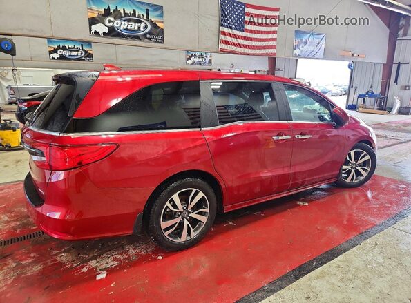 5FNRL6H86NB011069 2022 HONDA ODYSSEY Burgundy Tył prawy
