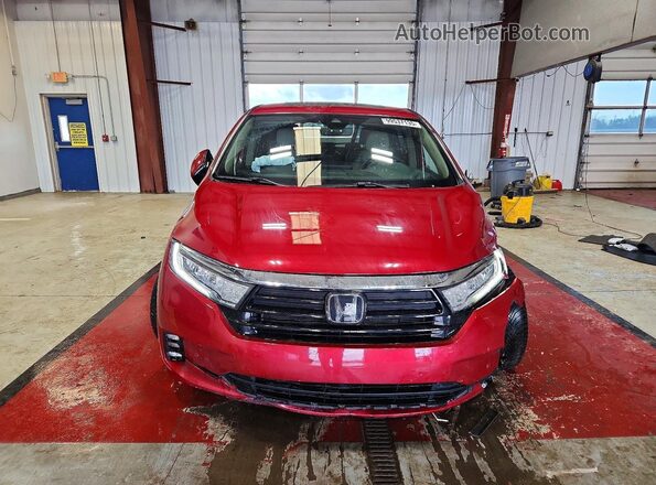 5FNRL6H86NB011069 2022 HONDA ODYSSEY Burgundy Widok z przodu