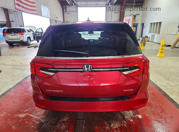 5FNRL6H86NB011069 2022 HONDA ODYSSEY Burgundy Widok z tyłu
