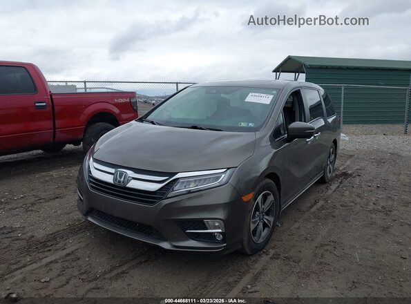 5FNRL6H8XKB126365 2019 HONDA ODYSSEY Gray 