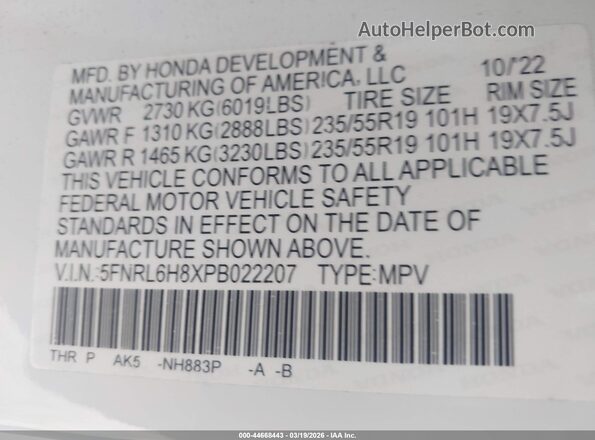 5FNRL6H8XPB022207 2023 HONDA ODYSSEY White 